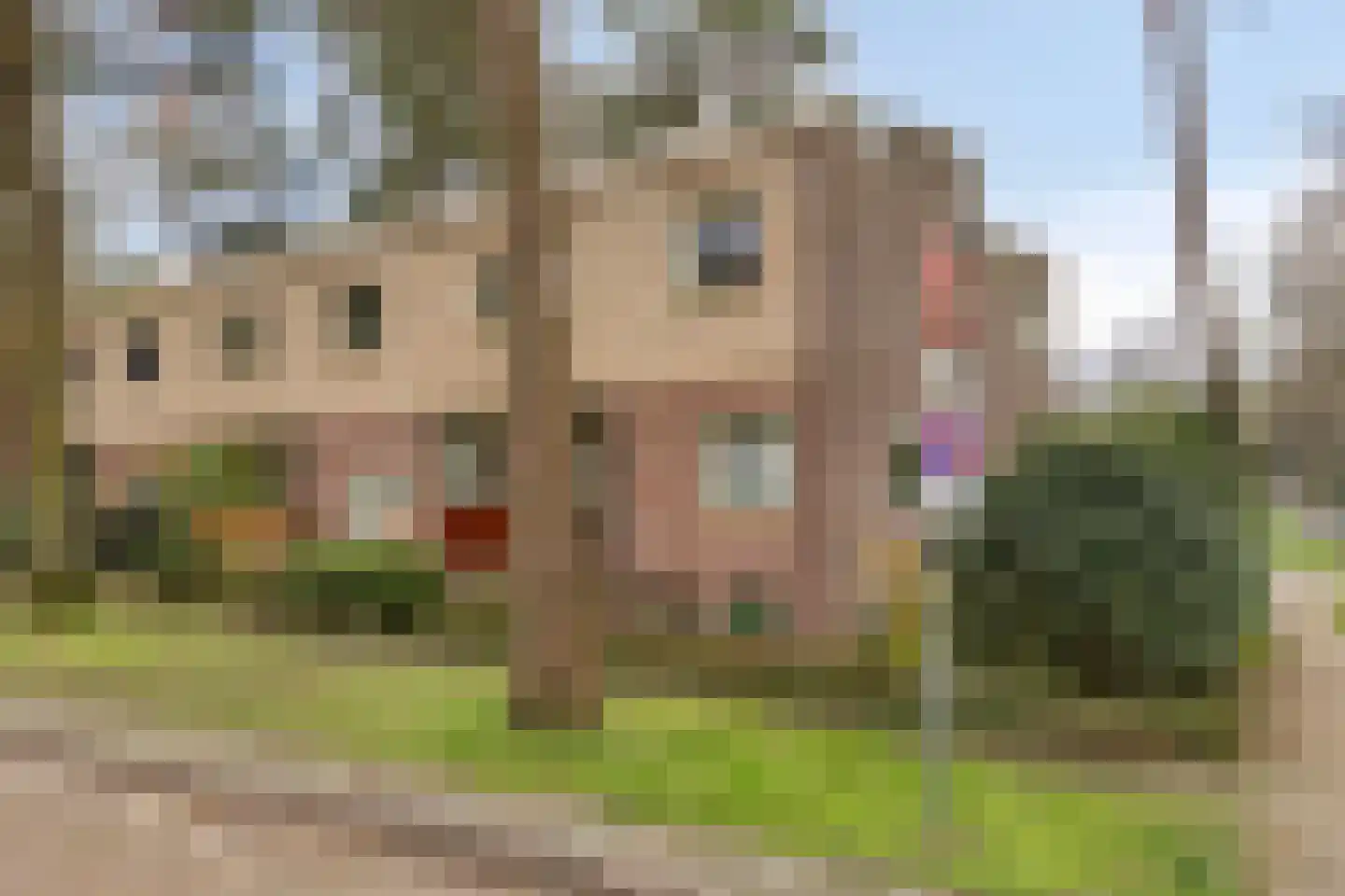 Vivaldistraat 15 Arnhem thumbnail 34