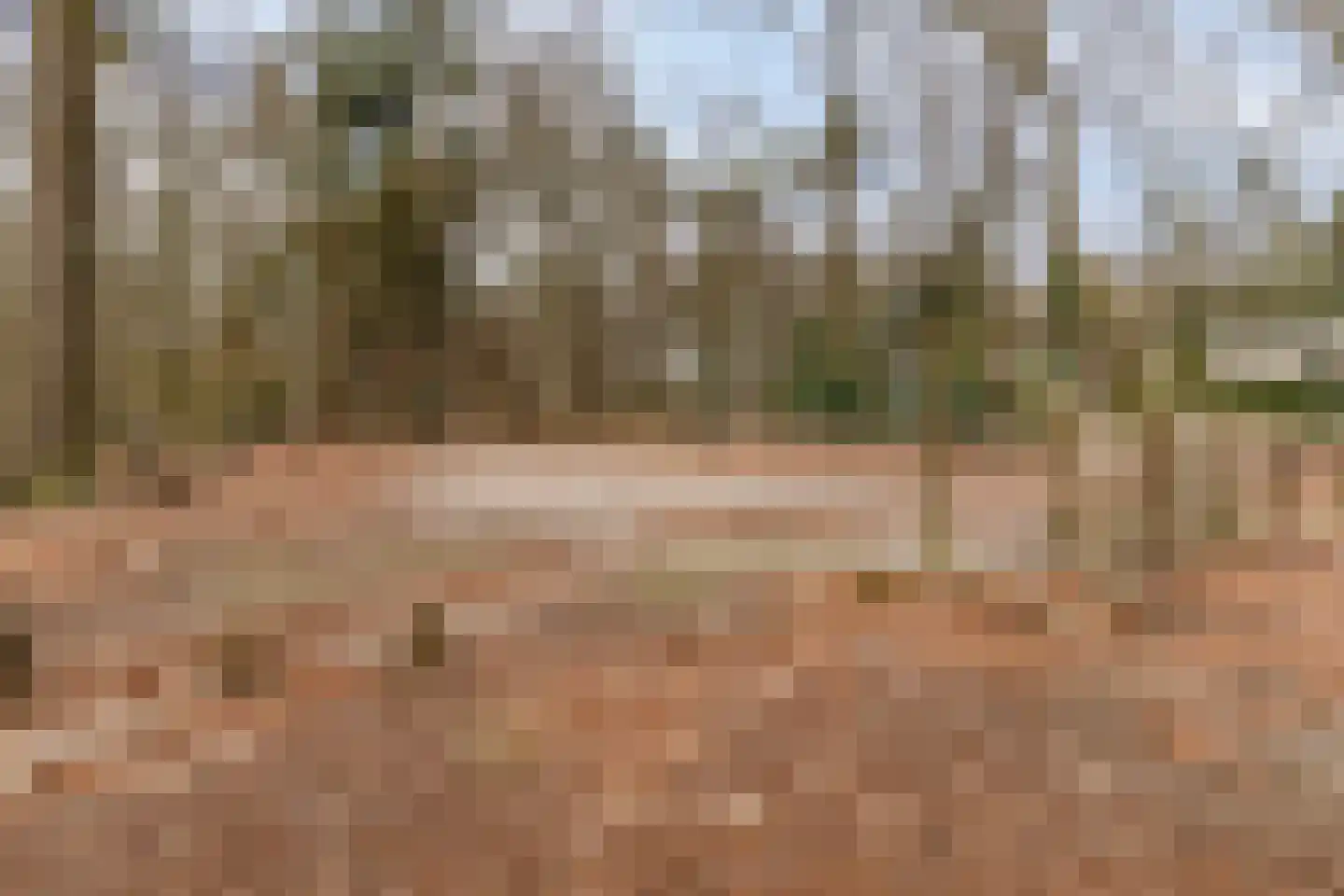 Vivaldistraat 15 Arnhem thumbnail 37