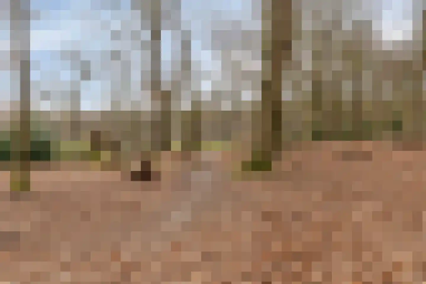 Vivaldistraat 15 Arnhem thumbnail 38