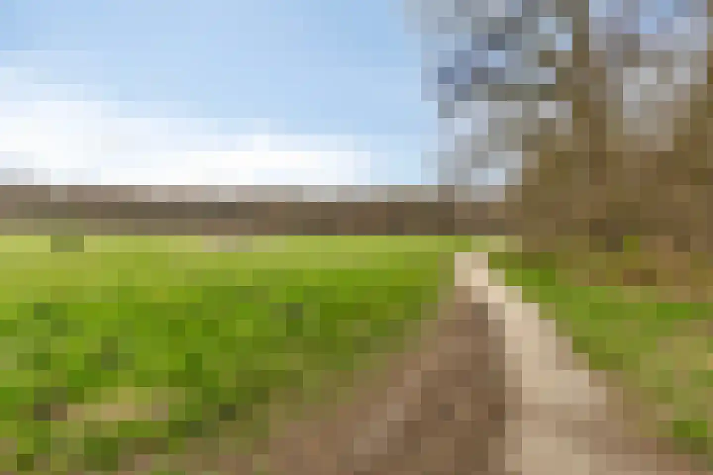 Vivaldistraat 15 Arnhem thumbnail 40