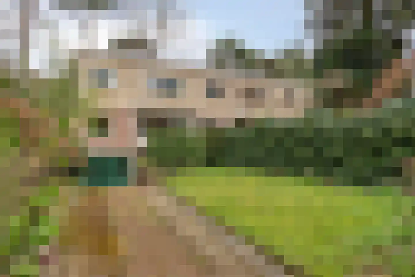 Vivaldistraat 15 Arnhem thumbnail 9