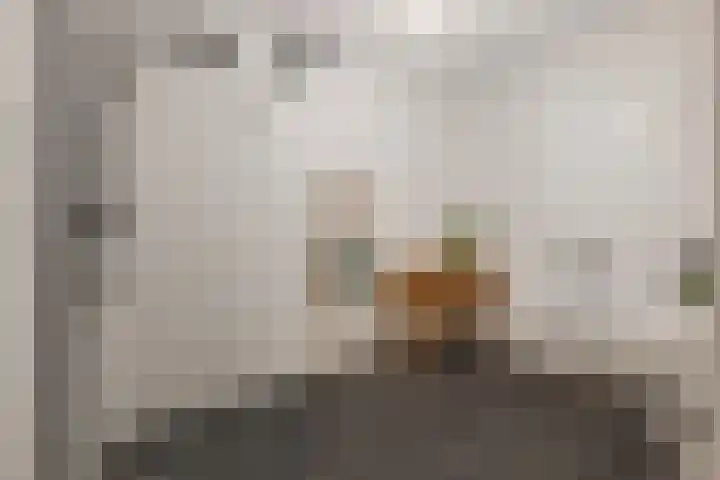 Vivaldistraat 15 Haarlem thumbnail 26
