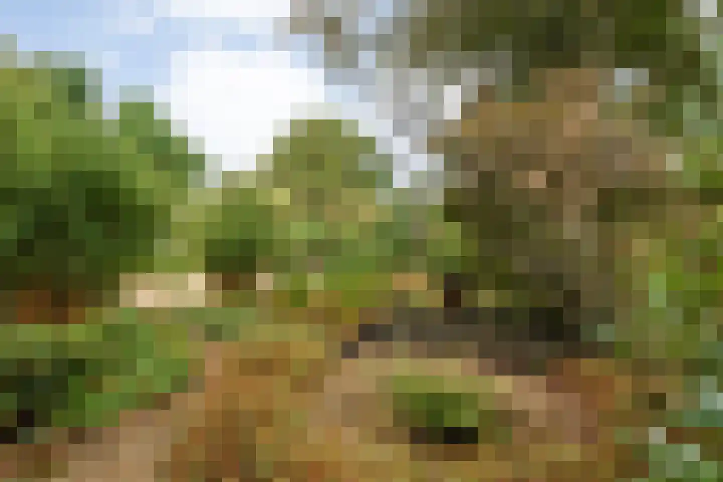 Vivaldistraat 158 Nijverdal thumbnail 14
