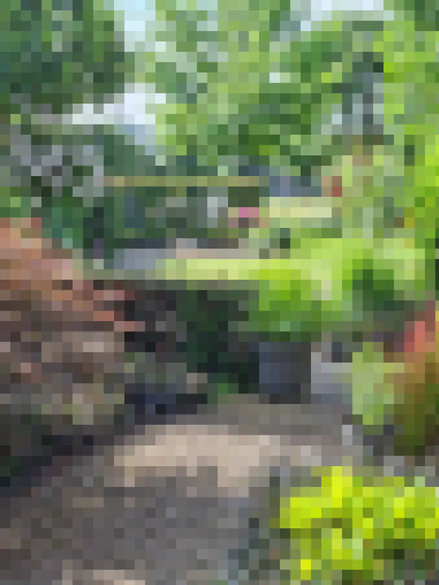 Vivaldistraat 158 Nijverdal thumbnail 64