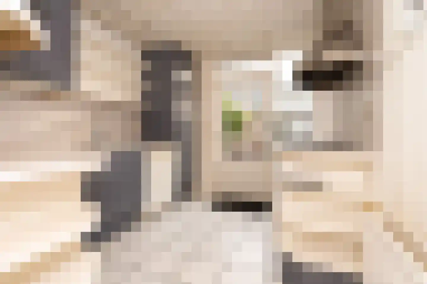 Vivaldistraat 18 Zwolle thumbnail 9