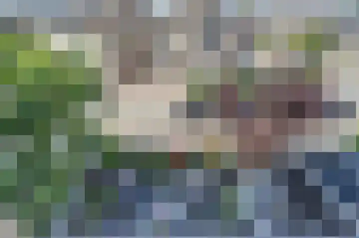Vivaldistraat 182 Capelle aan den IJssel thumbnail 11
