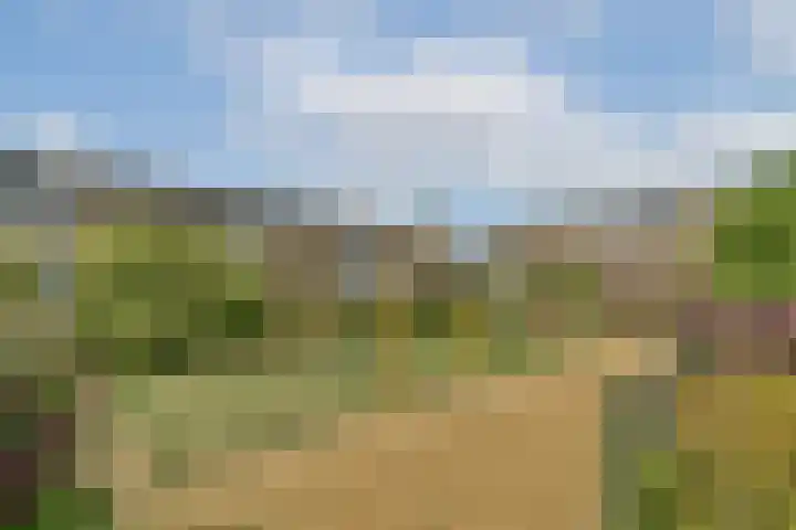 Vivaldistraat 184 Capelle aan den IJssel thumbnail 33
