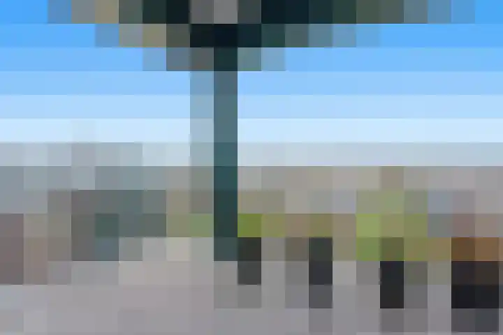 Vivaldistraat 21 Ridderkerk thumbnail 13