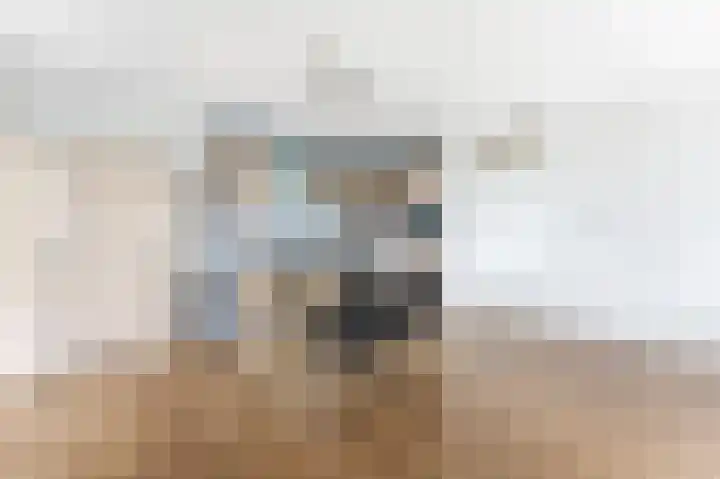Vivaldistraat 21 Ridderkerk thumbnail 9