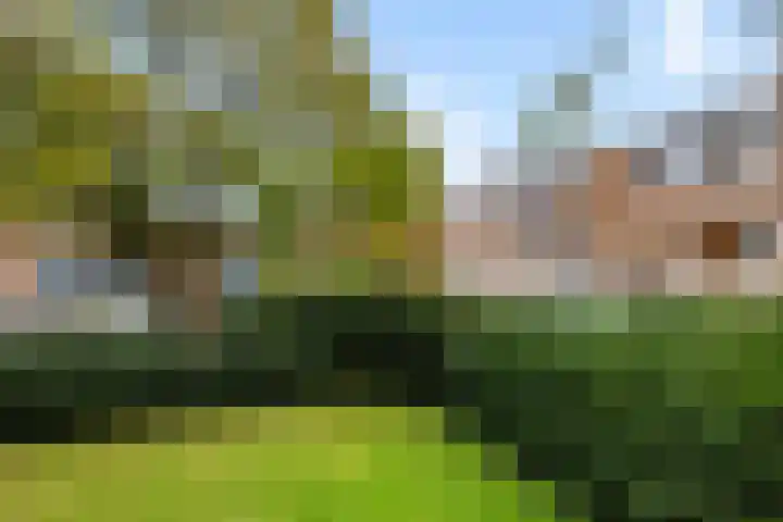 Vivaldistraat 22 B Zwolle thumbnail 22