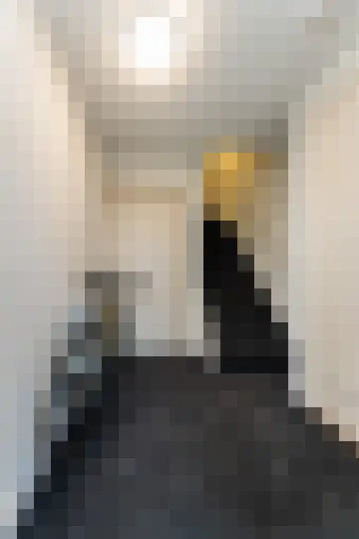 Vivaldistraat 22 B Zwolle thumbnail 4