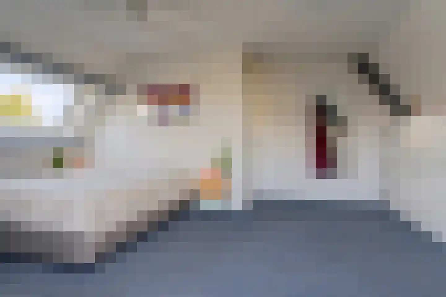 Vivaldistraat 22 Elst thumbnail 21