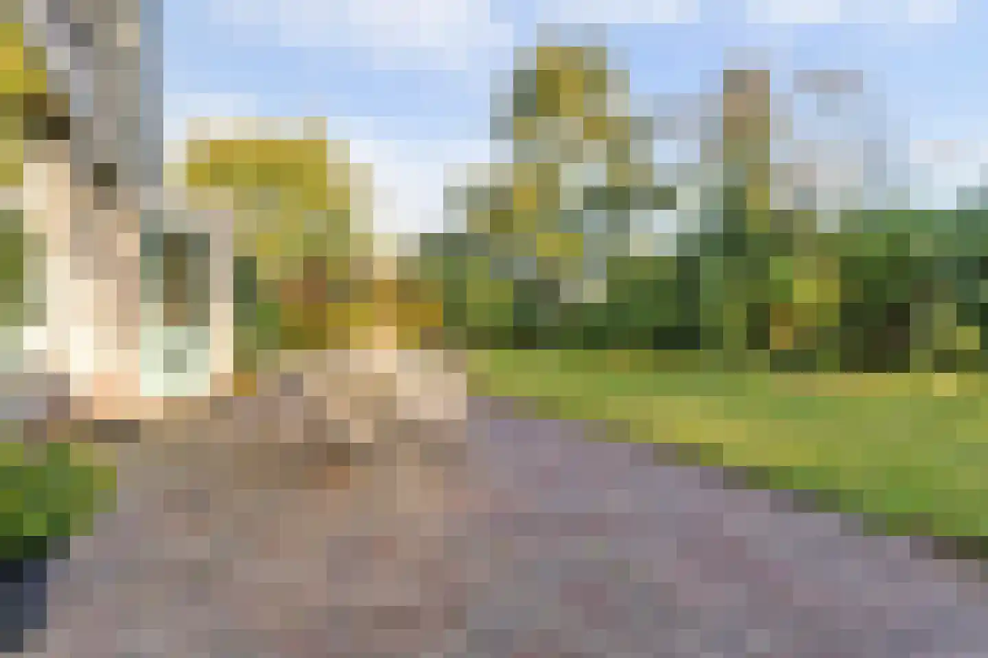 Vivaldistraat 22 Elst thumbnail 34