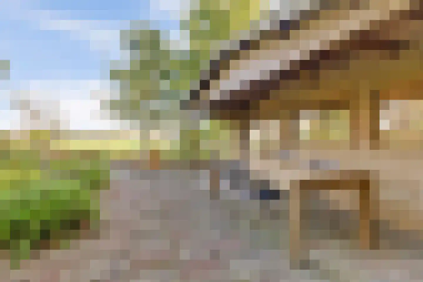Vivaldistraat 22 Elst thumbnail 35