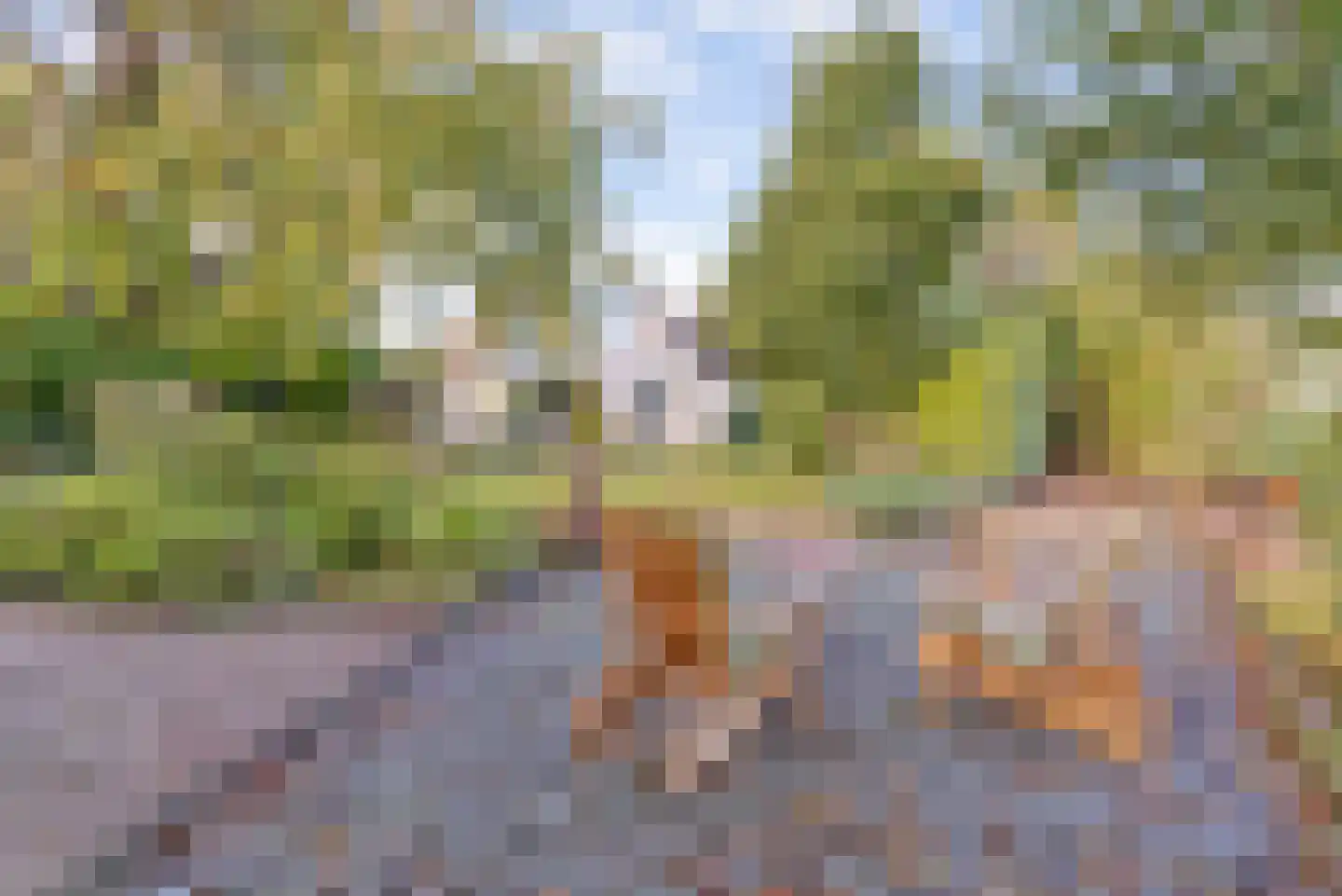 Vivaldistraat 22 Elst thumbnail 38