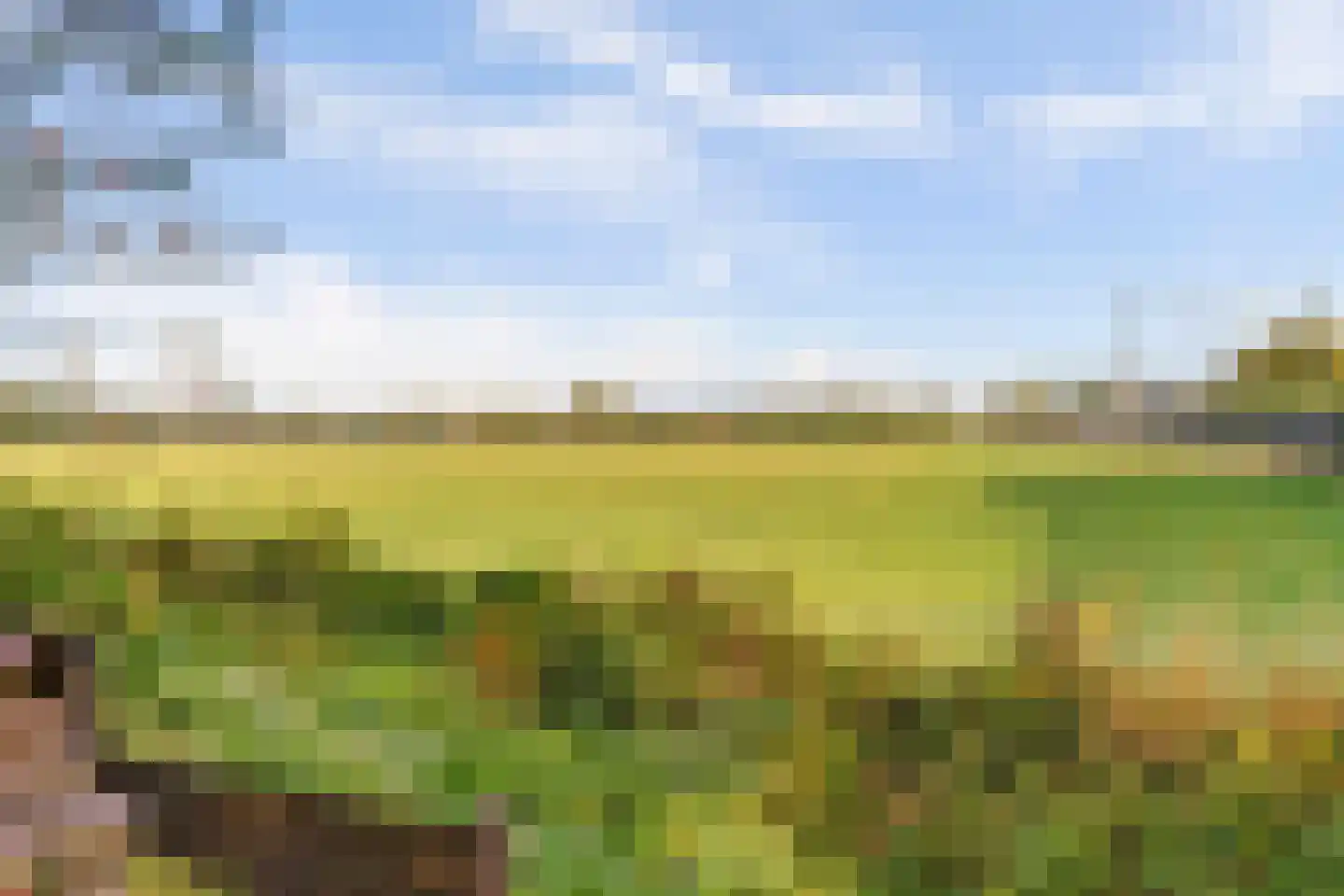 Vivaldistraat 22 Elst thumbnail 39