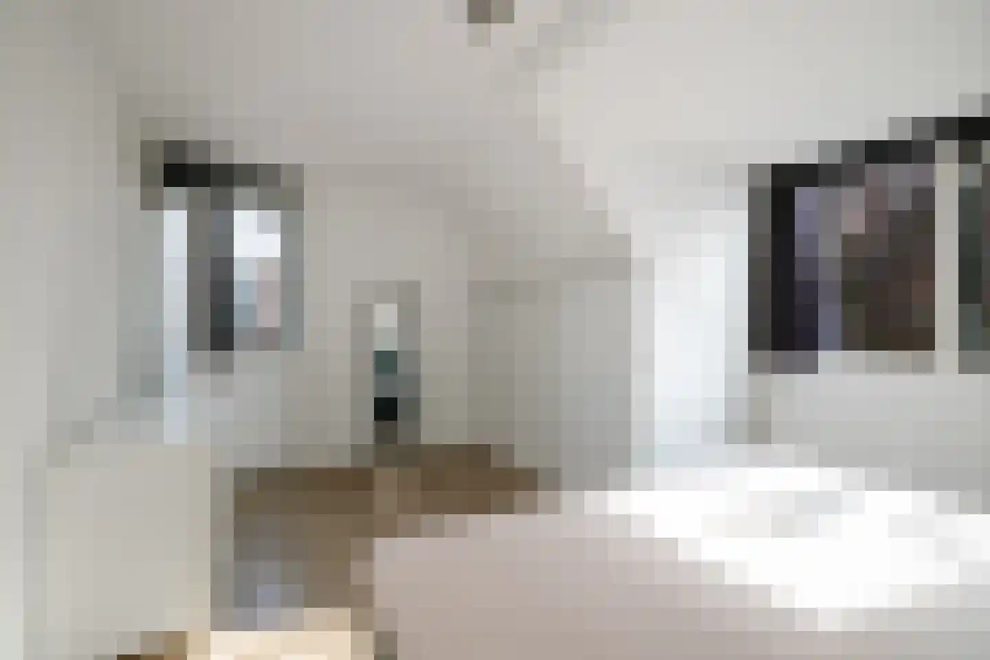 Vivaldistraat 22 Twello thumbnail 15