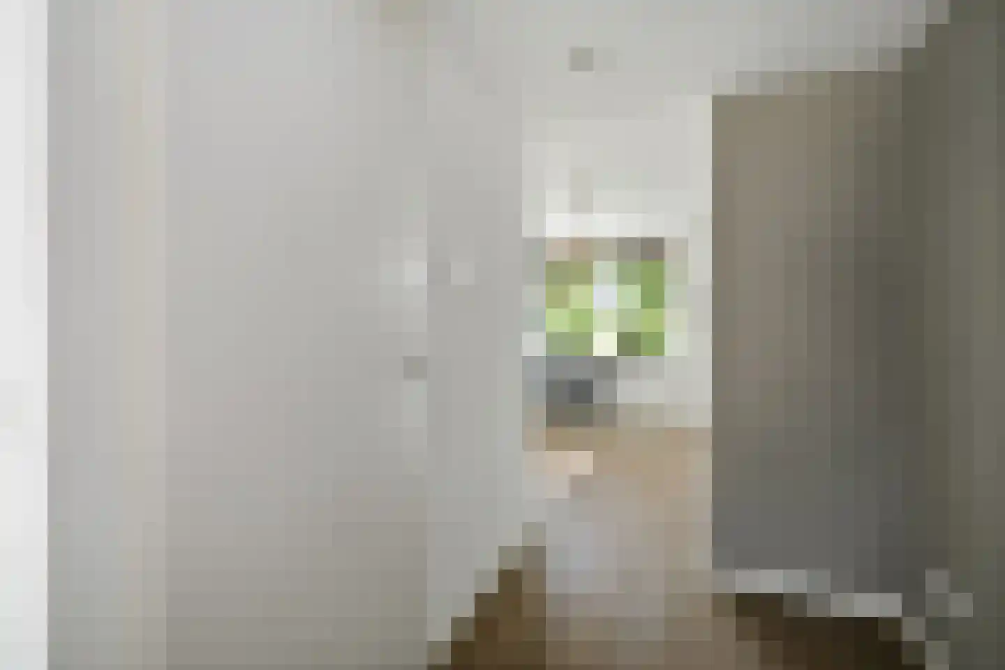 Vivaldistraat 22 Twello thumbnail 4
