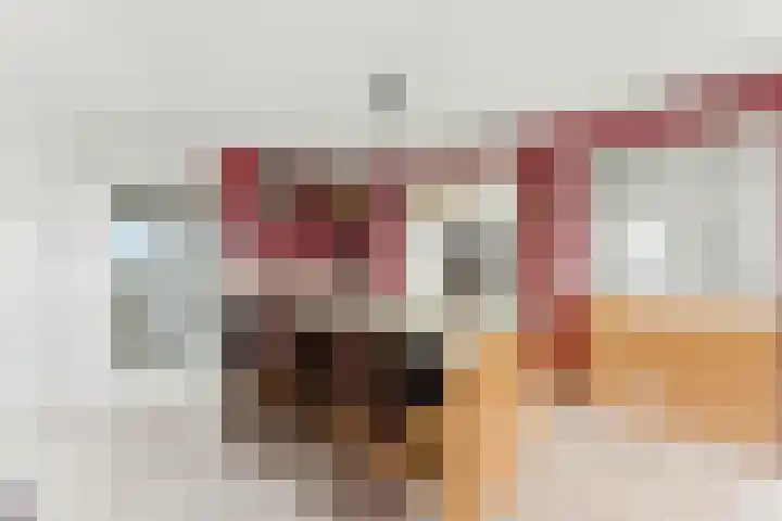 Vivaldistraat 23 Ridderkerk thumbnail 12