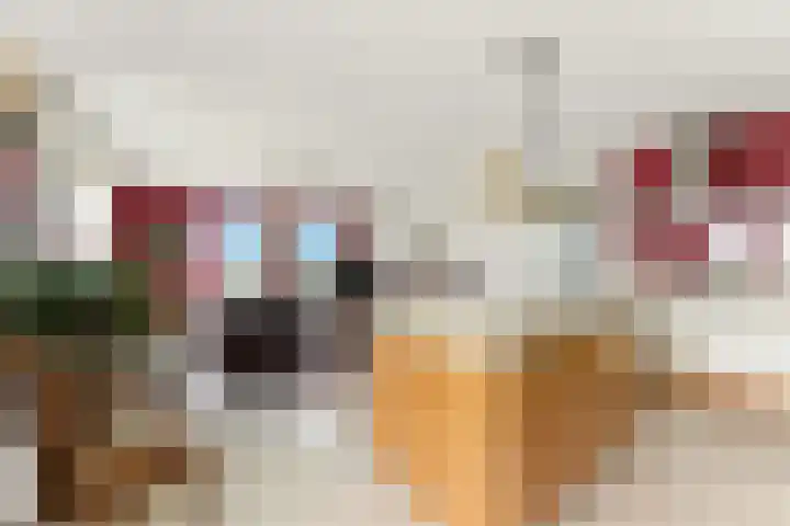 Vivaldistraat 23 Ridderkerk thumbnail 14