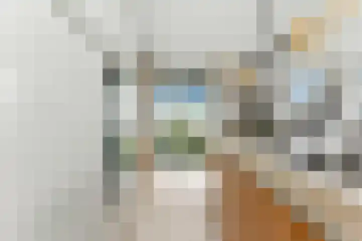 Vivaldistraat 23 Ridderkerk thumbnail 17