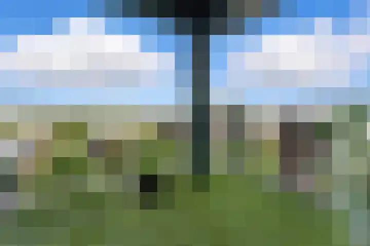 Vivaldistraat 23 Ridderkerk thumbnail 19