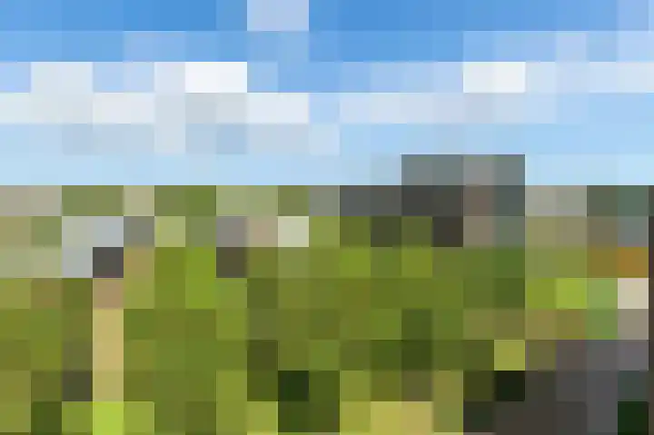 Vivaldistraat 23 Ridderkerk thumbnail 23