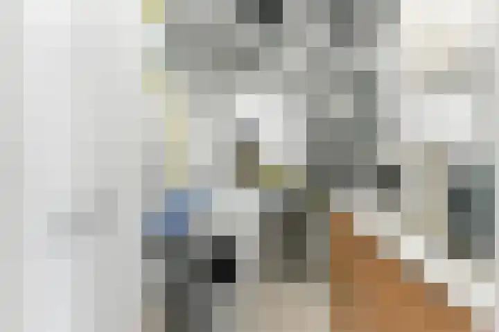 Vivaldistraat 23 Ridderkerk thumbnail 32