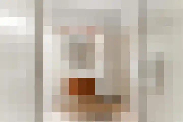 Vivaldistraat 23 Ridderkerk thumbnail 34