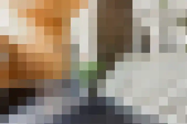 Vivaldistraat 23 Ridderkerk thumbnail 40