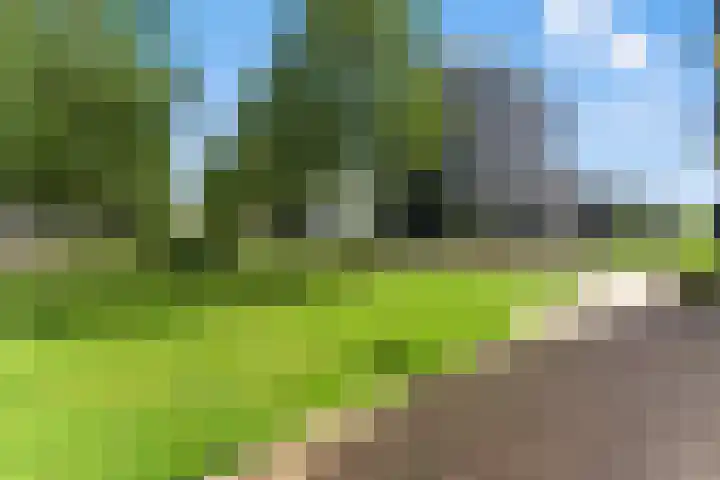 Vivaldistraat 23 Ridderkerk thumbnail 42