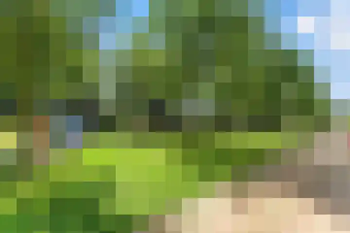 Vivaldistraat 23 Ridderkerk thumbnail 44