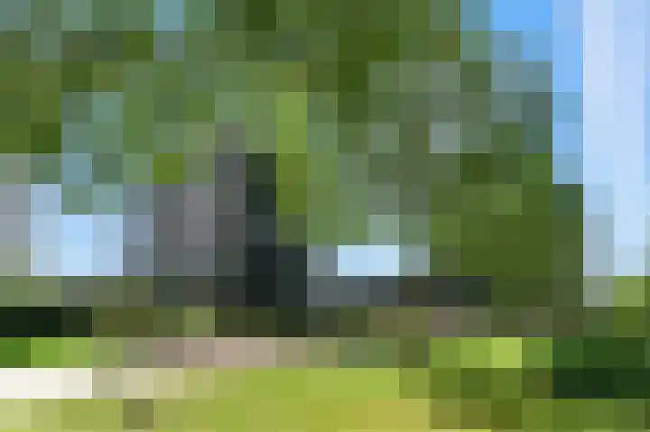 Vivaldistraat 23 Ridderkerk thumbnail 45