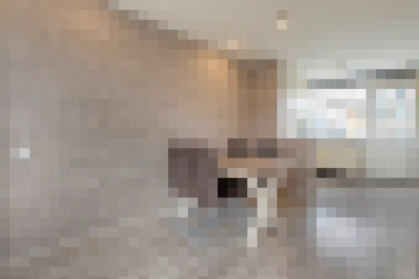 Vivaldistraat 24 Zwolle thumbnail 22
