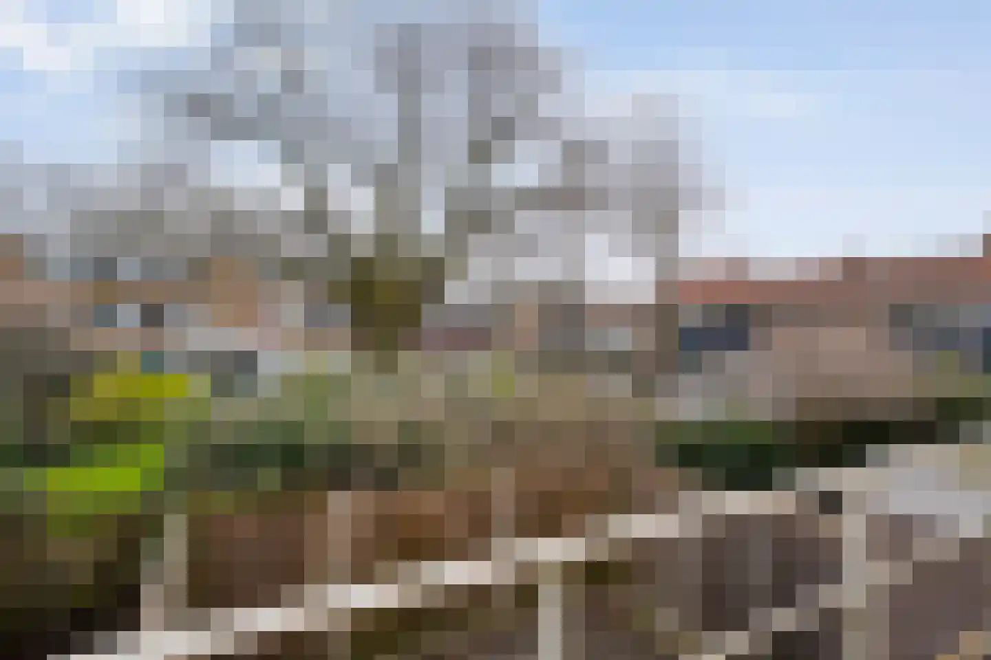 Vivaldistraat 24 Zwolle thumbnail 40