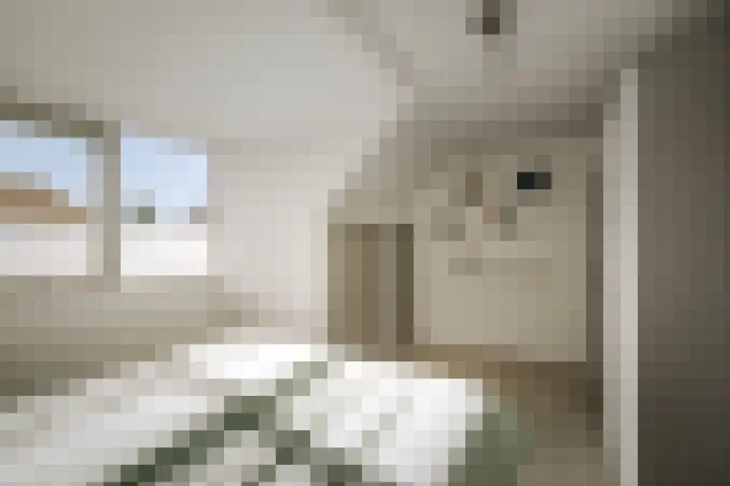 Vivaldistraat 26 Twello thumbnail 15