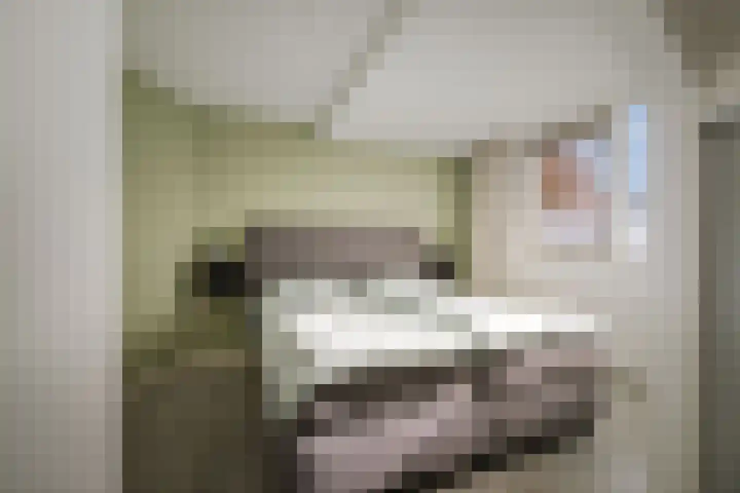 Vivaldistraat 26 Twello thumbnail 17