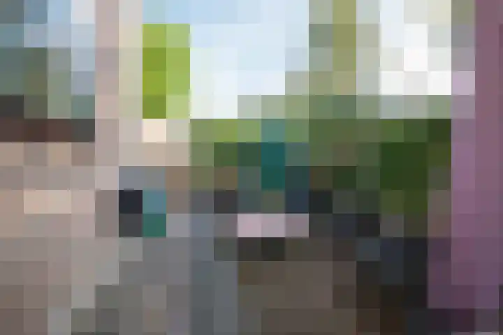 Vivaldistraat 27 Zwolle thumbnail 28
