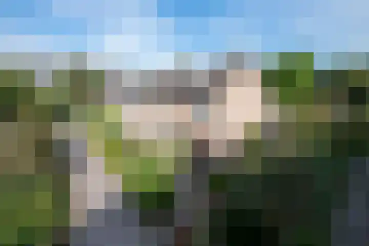Vivaldistraat 27 Zwolle thumbnail 31