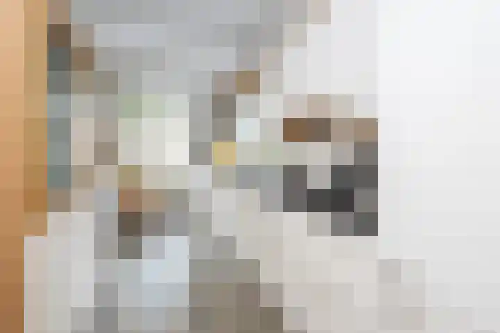 Vivaldistraat 27 Zwolle thumbnail 8
