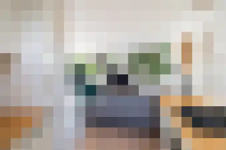 Vivaldistraat 33 Capelle aan den IJssel thumbnail 10
