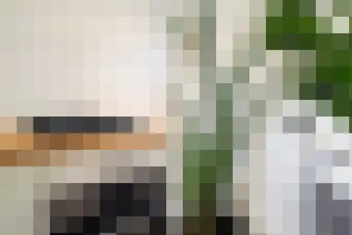 Vivaldistraat 33 Capelle aan den IJssel thumbnail 11