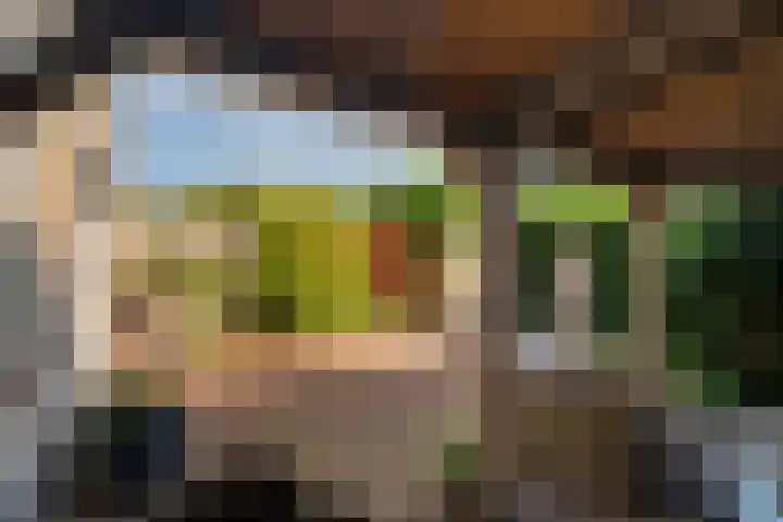 Vivaldistraat 33 Capelle aan den IJssel thumbnail 18