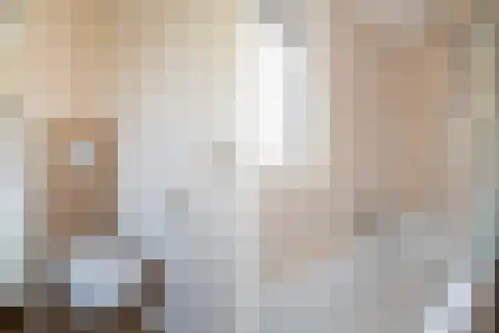 Vivaldistraat 33 Capelle aan den IJssel thumbnail 22