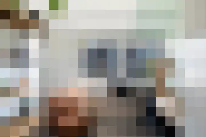 Vivaldistraat 33 Capelle aan den IJssel thumbnail 30