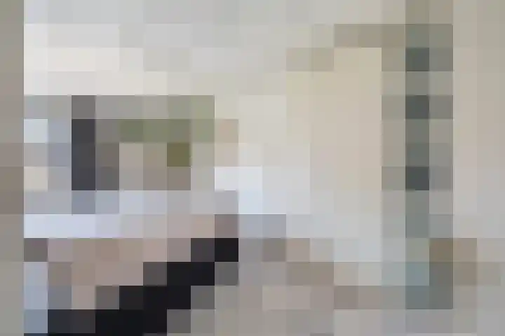 Vivaldistraat 33 Capelle aan den IJssel thumbnail 31