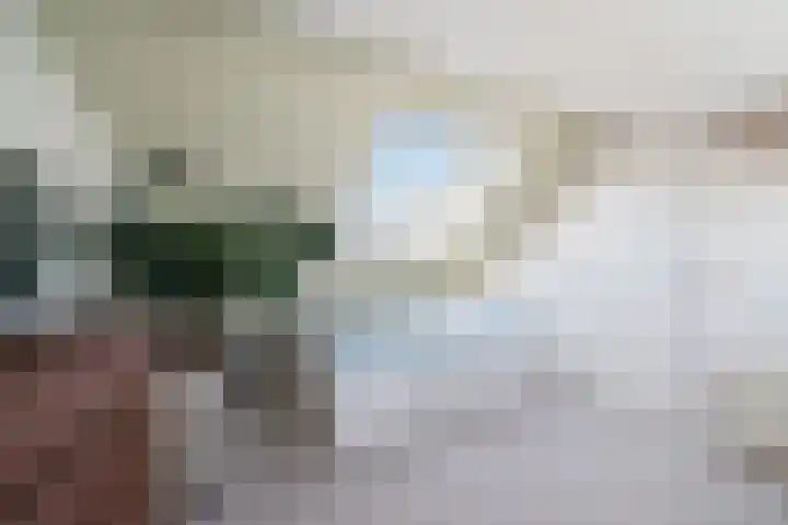 Vivaldistraat 33 Capelle aan den IJssel thumbnail 38