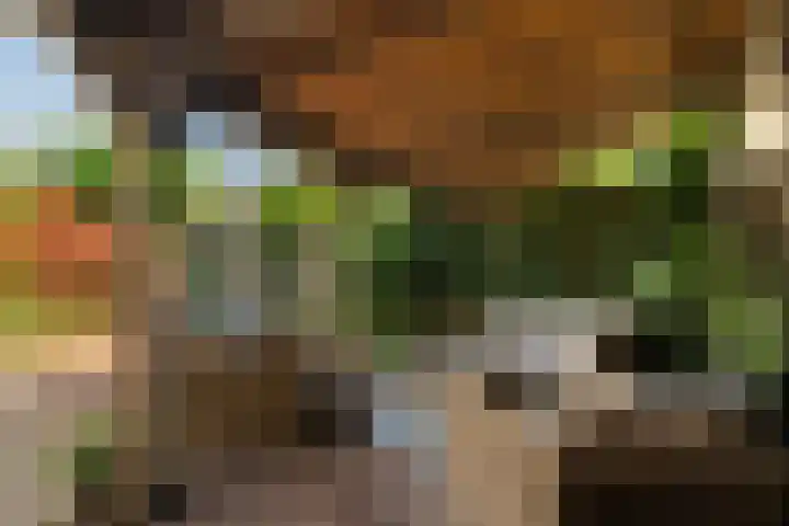 Vivaldistraat 33 Capelle aan den IJssel thumbnail 39