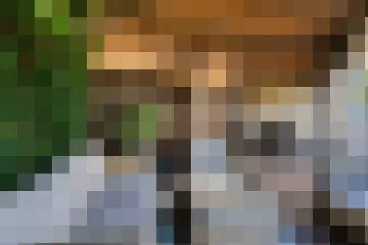 Vivaldistraat 33 Capelle aan den IJssel thumbnail 40