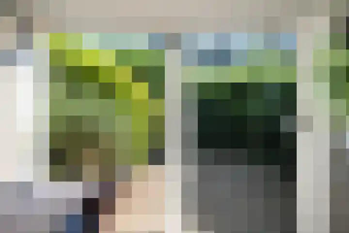 Vivaldistraat 33 Capelle aan den IJssel thumbnail 41